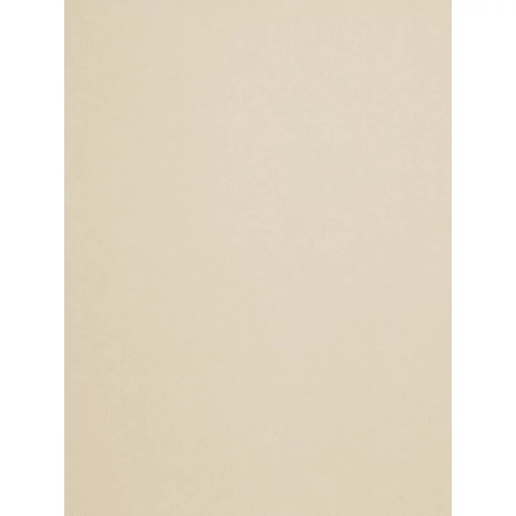 47981DC  HPL 3050X1350X0,8MM