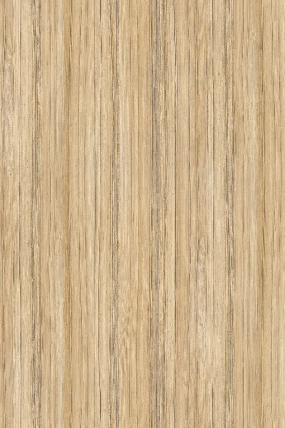 8995SN 2800x2070x18mm COCO BOLO